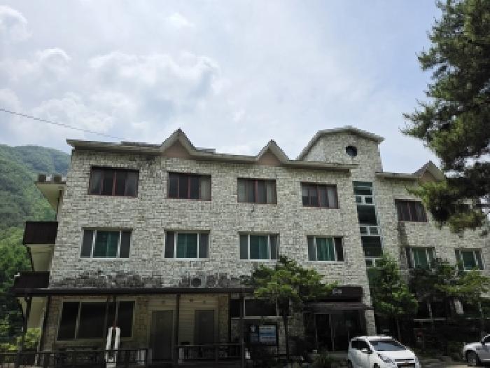 경북 성주군 금수강산면 상가,오피스텔,근린시설 경매 물건 사진 3 · 2026타경3717