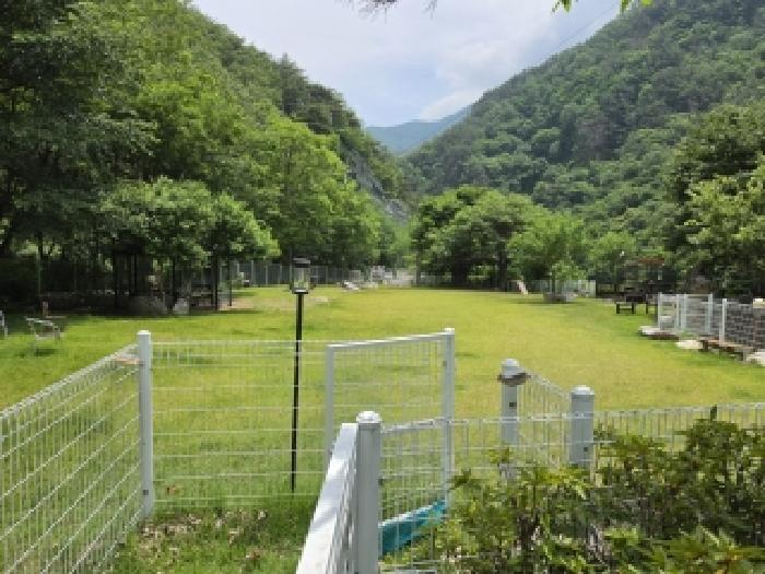 경북 성주군 금수강산면 상가,오피스텔,근린시설 경매 물건 사진 5 · 2026타경3717