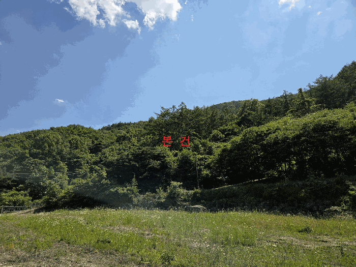 대구 달성군 가창면 임야 경매 물건 사진 4 · 2026타경3726