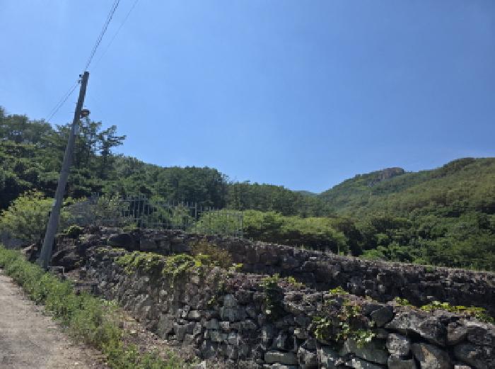 대구 달성군 가창면 임야 경매 물건 사진