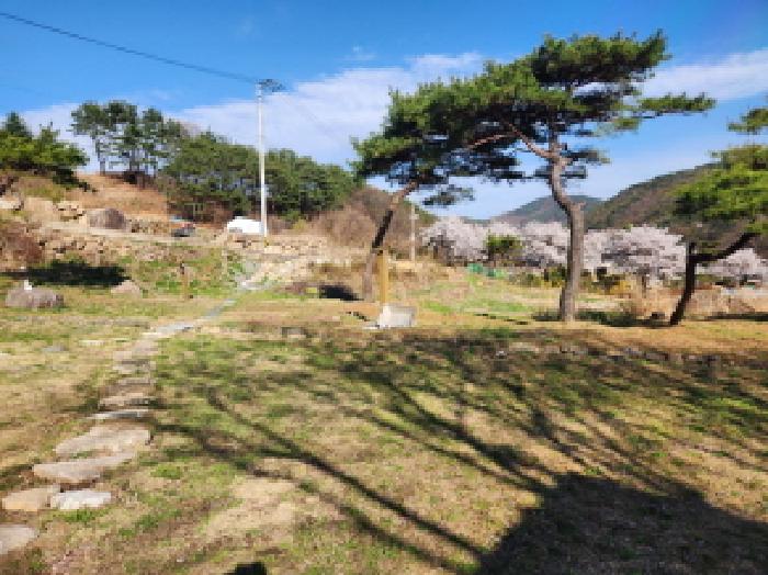 경북 성주군 수륜면 단독주택 경매 물건 사진