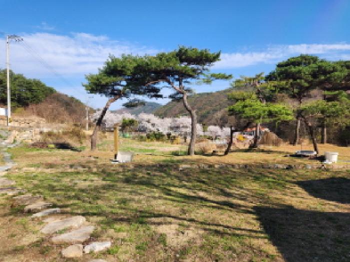 경북 성주군 수륜면 단독주택 경매 물건 사진 2 · 2026타경56