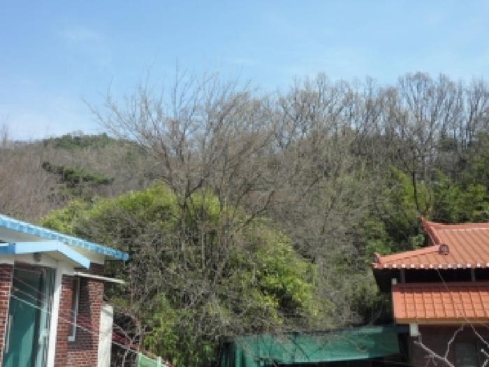 대구 달성군 논공읍 전답 경매 물건 사진