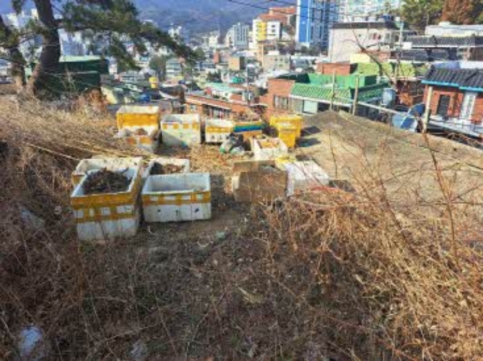 부산 부산진구 초읍동 전 경매 물건 사진 5 · 2024타경6433