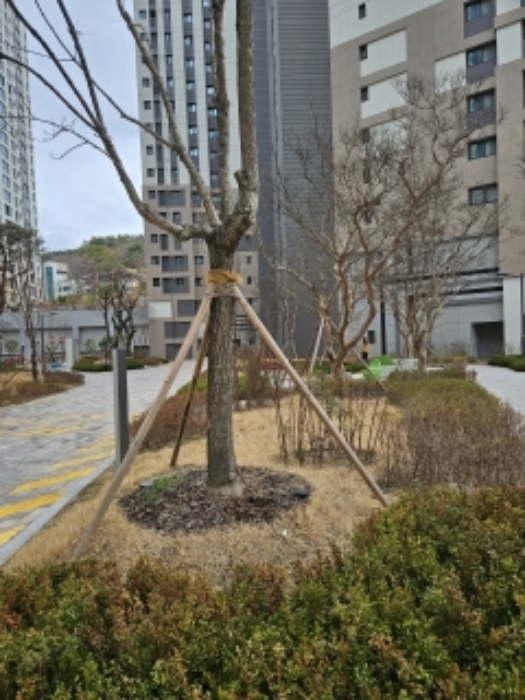 부산 금정구 부곡동 아파트 경매 물건 사진 4 · 2024타경725