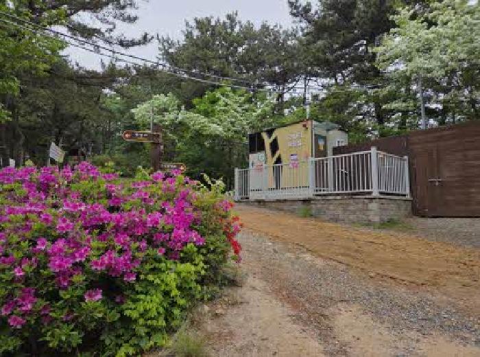 부산 부산진구 초읍동 임야 경매 물건 사진