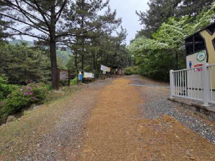 부산 부산진구 초읍동 임야 경매 물건 사진 3 · 2025타경1466