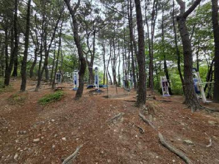 부산 부산진구 초읍동 임야 경매 물건 사진 6 · 2025타경1466