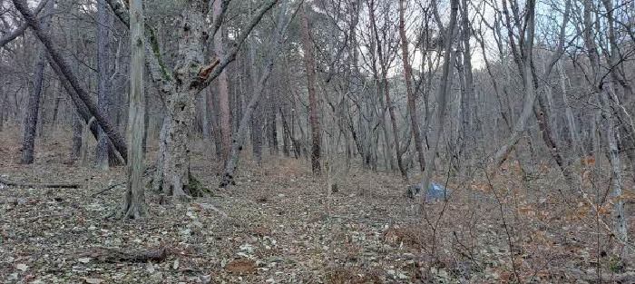 부산광역시 금정구 남산동 산54 전답 경매 물건 사진