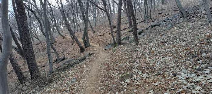 부산 금정구 남산동 임야 경매 물건 사진 3 · 2025타경20368