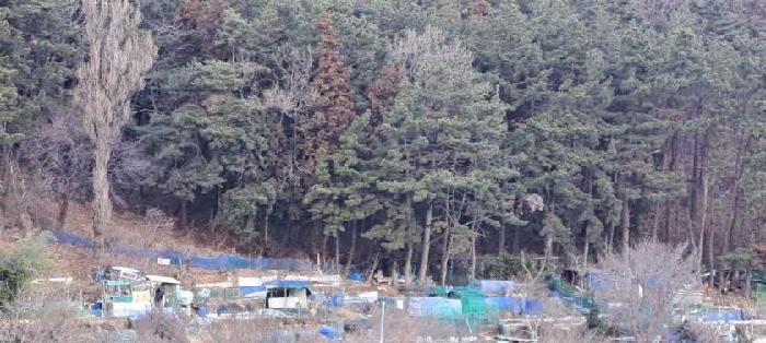 부산 금정구 남산동 임야 경매 물건 사진 5 · 2025타경20368