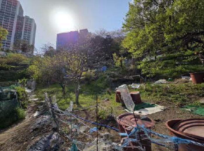 부산 영도구 청학동 전 경매 물건 사진 4 · 2025타경21663