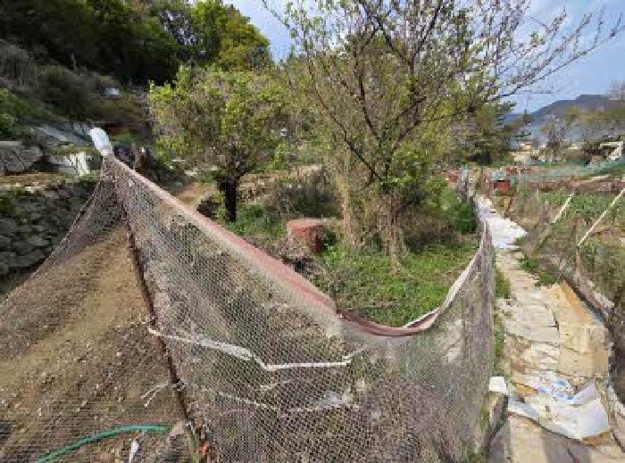 부산 영도구 청학동 전 경매 물건 사진 5 · 2025타경21663