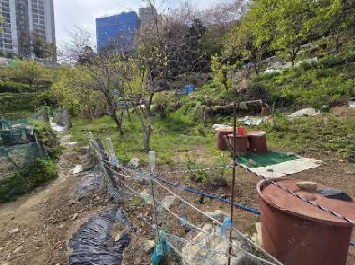 부산 영도구 청학동 전 경매 물건 사진 6 · 2025타경21663