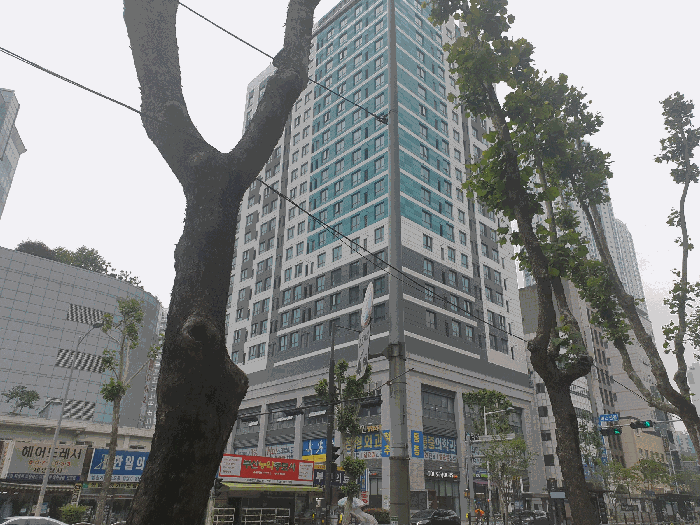 부산 부산진구 부전동 근린생활시설 경매 물건 사진 3 · 2025타경22070