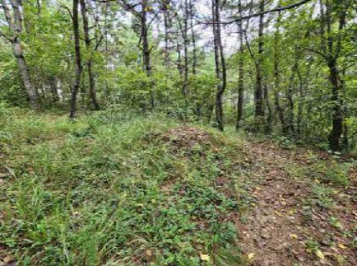 부산 부산진구 부암동 임야 경매 물건 사진 2 · 2025타경22454