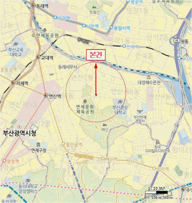 부산 연제구 연산동 연립주택,다세대,빌라 경매 물건 사진 6 · 2025타경22925