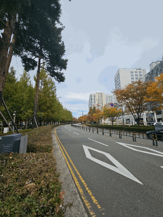 부산 부산진구 전포동 오피스텔 경매 물건 사진 5 · 2025타경23024