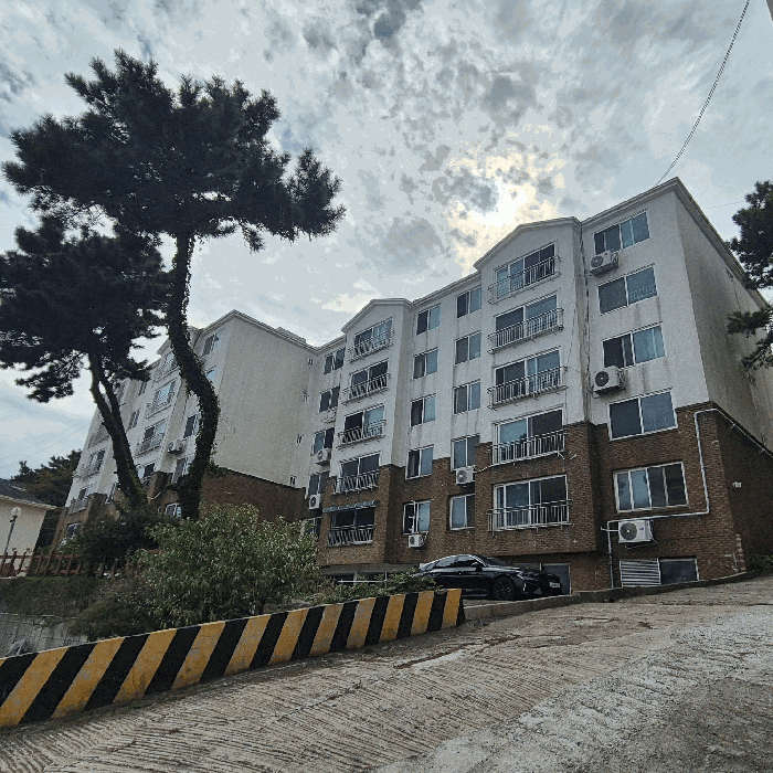 부산 영도구 동삼동 아파트 경매 물건 사진 3 · 2025타경3844