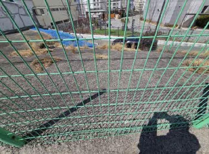 부산 영도구 봉래동4가 대지 경매 물건 사진 3 · 2025타경623