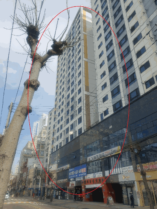 부산 부산진구 부전동 오피스텔 경매 물건 사진 4 · 2026타경10147