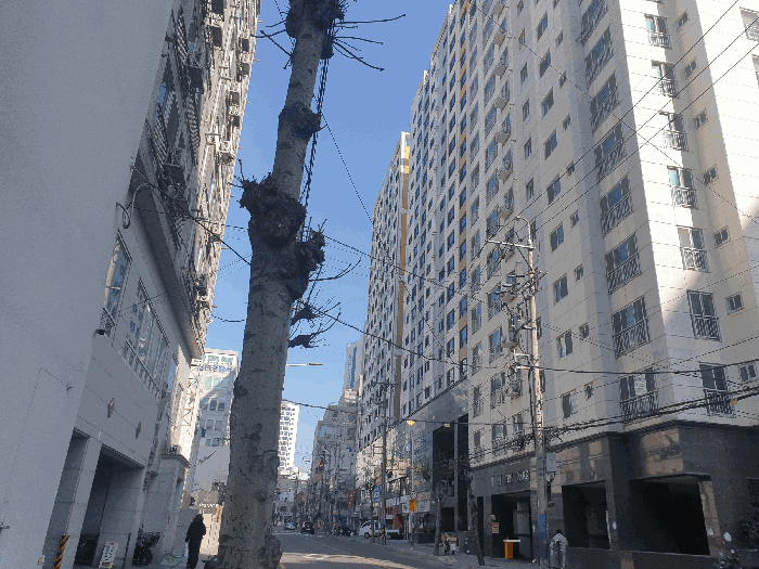 부산 부산진구 부전동 오피스텔 경매 물건 사진 3 · 2026타경10236