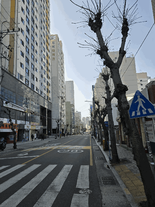 부산 부산진구 부전동 오피스텔 경매 물건 사진 6 · 2026타경10240