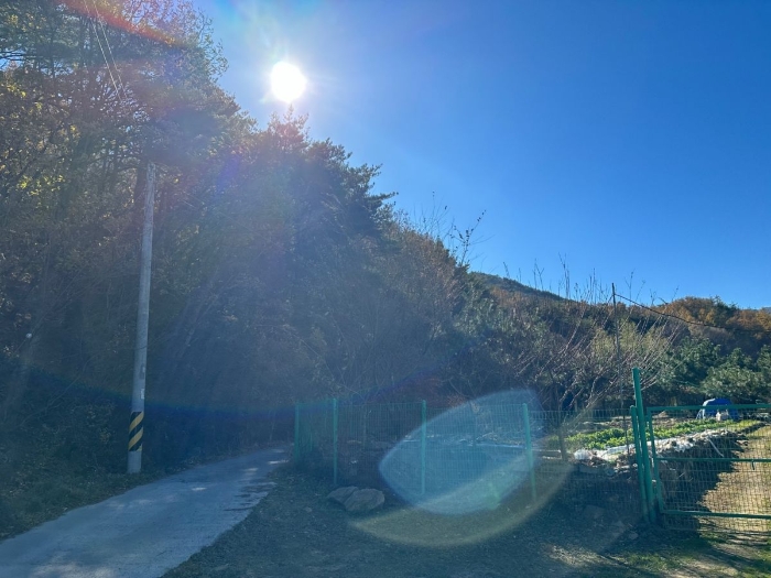 울산광역시 울주군 상북면 덕현리 산157-3 임야 경매 물건 사진