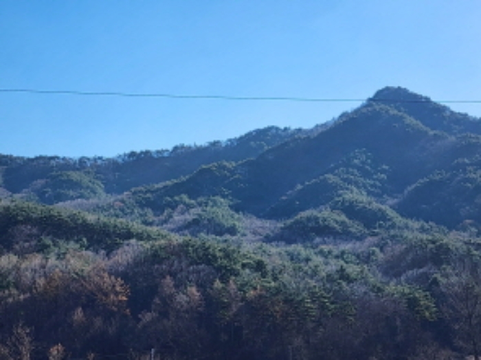 울산 울주군 상북면 임야 경매 물건 사진 3 · 2023타경111072