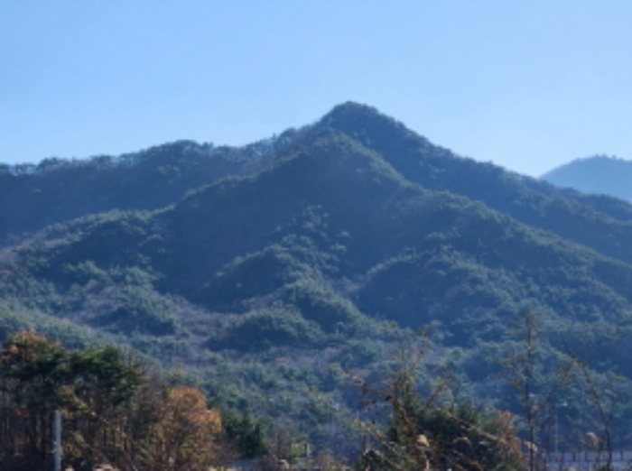 울산 울주군 상북면 임야 경매 물건 사진