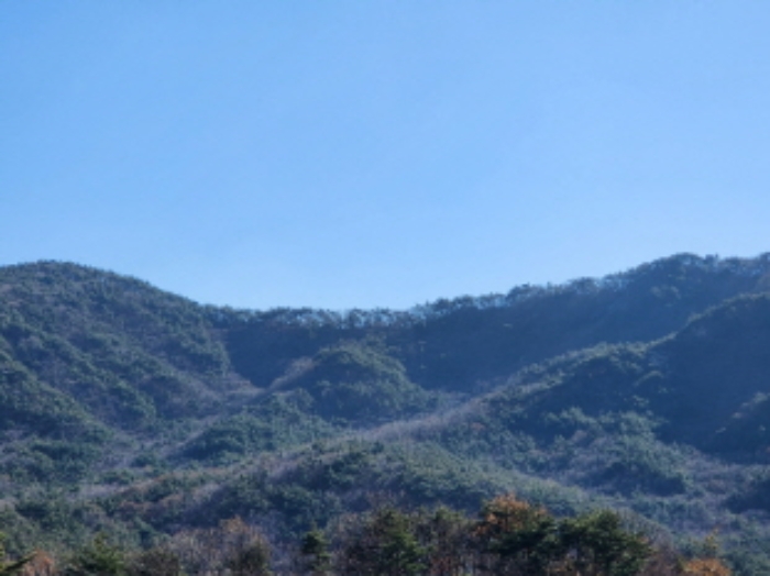 울산 울주군 상북면 임야 경매 물건 사진 2 · 2023타경111072