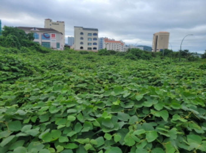 울산 북구 산하동 대지 경매 물건 사진
