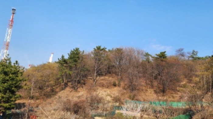 울산 남구 성암동 임야 경매 물건 사진 2 · 2024타경103269