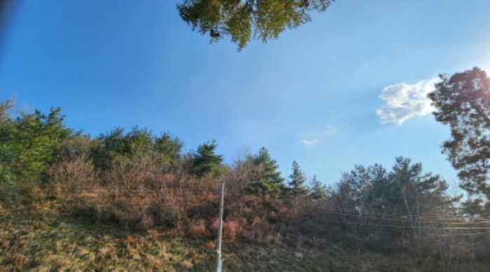 울산 남구 성암동 임야 경매 물건 사진 3 · 2024타경103269