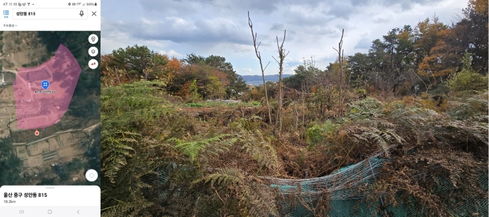 울산광역시 중구 성안동 815 전 경매 물건 사진
