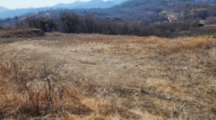 울산 울주군 온양읍 단독주택다가구 경매 물건 사진 2 · 2024타경1035