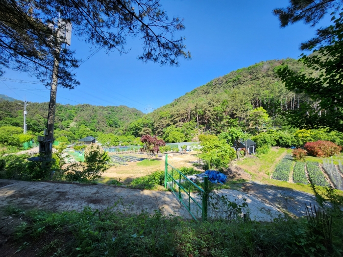 경남 양산시 동면 임야 경매 물건 사진 6 · 2024타경106787