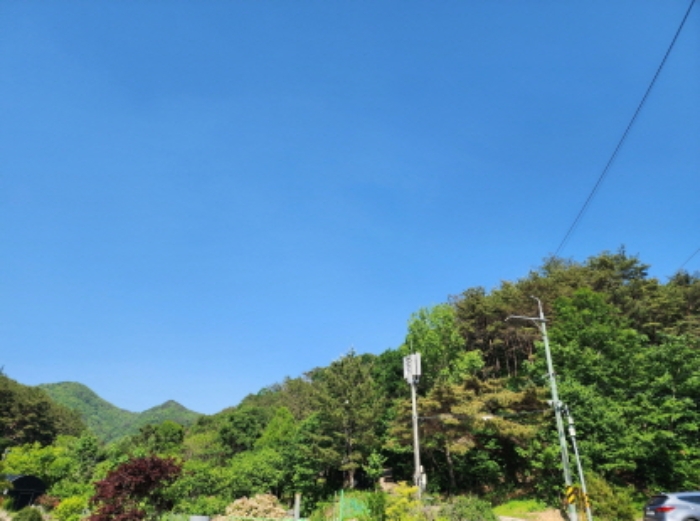 경남 양산시 동면 임야 경매 물건 사진