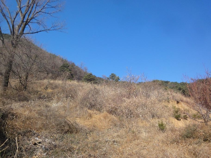 울산 울주군 삼남읍 전 경매 물건 사진 6 · 2024타경119936