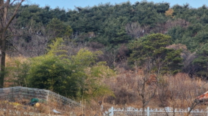 울산 울주군 삼남읍 전 경매 물건 사진