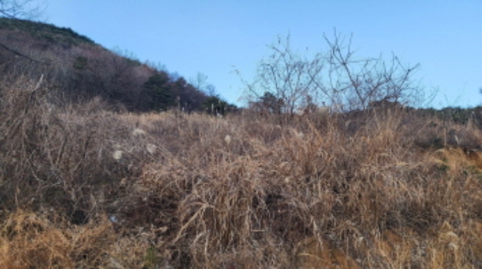 울산 울주군 삼남읍 전 경매 물건 사진 2 · 2024타경119936