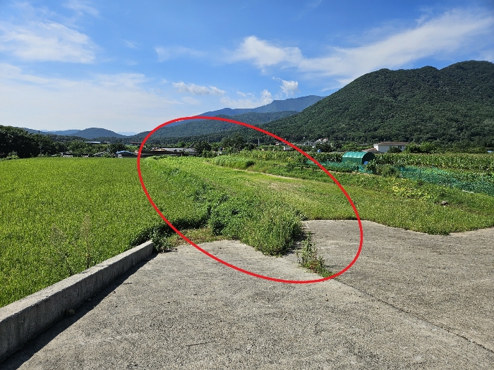 울산 울주군 상북면 답 경매 물건 사진 5 · 2024타경6863