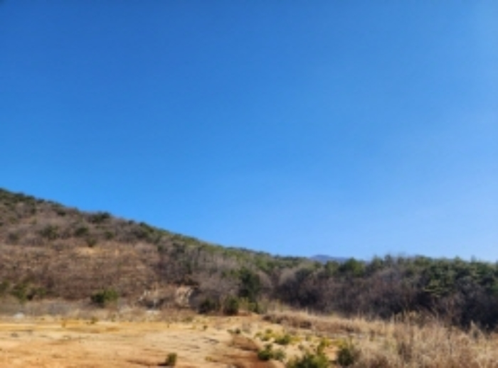 울산 울주군 온양읍 전 경매 물건 사진 2 · 2024타경797