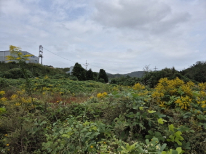 울산 울주군 서생면 답 경매 물건 사진 4 · 2024타경8340