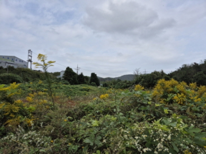 울산 울주군 서생면 답 경매 물건 사진 6 · 2024타경8340