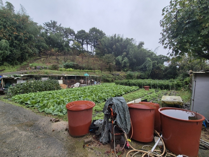 울산 울주군 웅촌면 대지,임야,전답 경매 물건 사진 6 · 2024타경8548