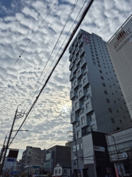 울산 동구 일산동 센트럴나인 업무시설 경매 물건 사진