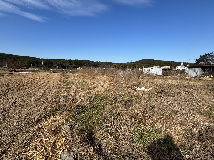 울산 울주군 두동면 대지 경매 물건 사진 5 · 2024타경9985
