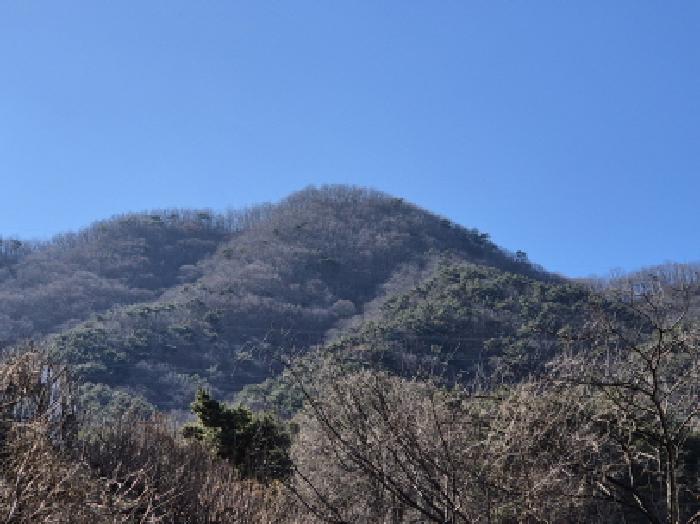 울산 울주군 청량읍 임야 경매 물건 사진