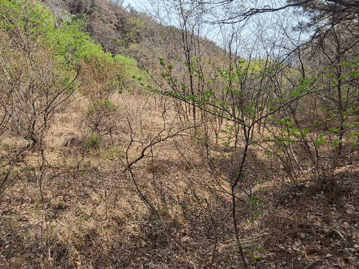 울산 북구 가대동 답 경매 물건 사진 6 · 2025타경1026